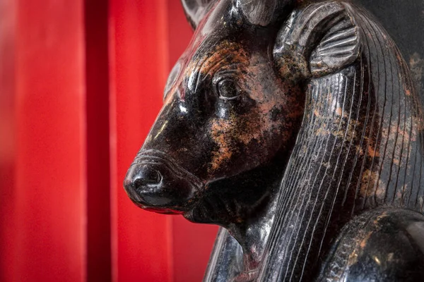 Torso Van God Bull Apis Graniet Memphis Nieuw Koninkrijk Musei — Stockfoto