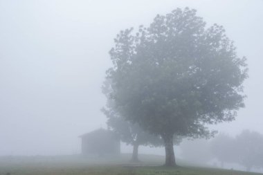San Miguel de Aralar, Sierra de Aralar, Navarra, İspanya Sığınağı