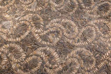 Geleneksel asfalt döşeme, Laguardia, Alava, Bask ülkesi, İspanya