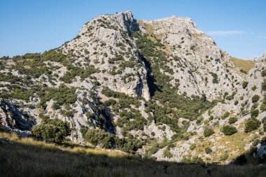 puig de Rateta, 1113 metre, Mallorca, Balearic Adaları, İspanya