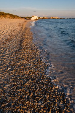 Ses Covetes plajı, Campos, Mallorca, İspanya