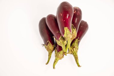 Patlıcan yığını, Solanum melongena