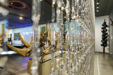 Swarovski kristalleri perdesi ve Sibirya yünlü gergedanlarının fosilleşmiş iskeleti (Coelodonta antiquitatis), Sa Bassa Blanca Müzesi (msbb