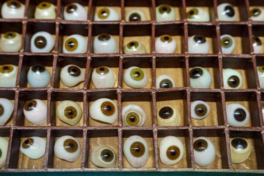 20. yüzyıl, Sa Bassa Blanca Müzesi (msbb)