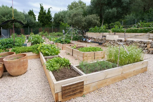 stock image sustainable ecological garden, Sa Bassa Blanca Museum (msbb