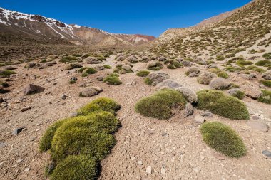Arous Vadisi 'ne, MGoun Yürüyüşü' ne, Atlas Dağları 'na, Fas' a, Afrika 'ya doğru iniyoruz.