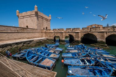 Castelo Real balıkçılık limanında, eski Portekiz kalesi, Essaouira, Fas, Afrika