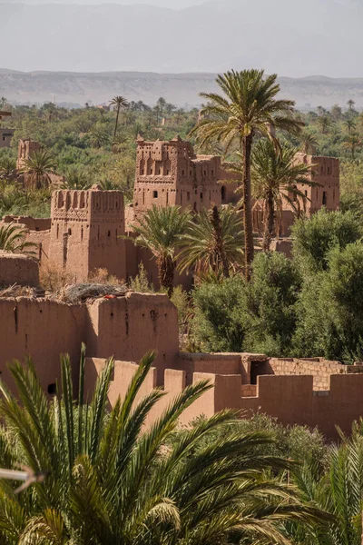 Kasba Amridil Vista Para Palmeiral Skoura Província Ouarzazate Marrocos África — Fotografia de Stock