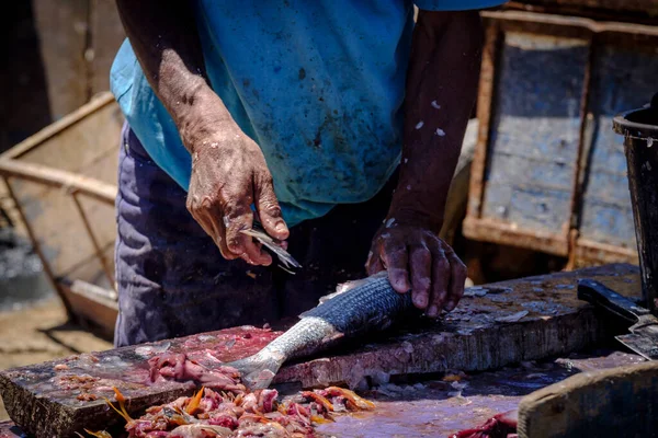 Mercado Pescado Fresco Puerto Pesquero Essaouira Marruecos África — Foto de Stock