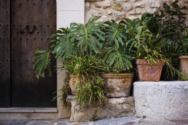 portal tipico i cabalgador, Estellencs, Mallorca, balear adaları, İspanya, Avrupa