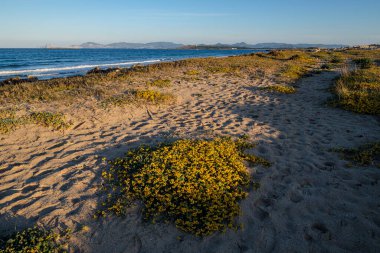 Es Trucadors, Formentera, Pitiusas Adaları, Balear Community, İspanya