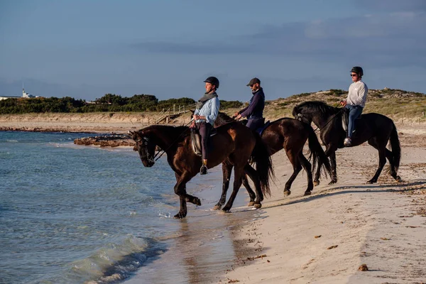 Illetes Beach Riding Horse Formentera Pitiusas Islands Balearic Community Spain — Stock Photo, Image