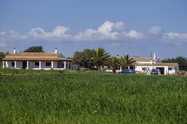 Formentera, La Mola, Formentera, Pitiusas Adaları, Balear Community, İspanya