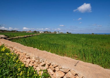 Formentera, La Mola, Formentera, Pitiusas Adaları, Balear Community, İspanya