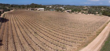 Cap de Barbaria Şaraphanesi Formentera, Pitiusas Adaları, Balear Community, İspanya