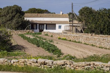 sebze tarlası, Formentera, Pitiusas Adaları, Balear Community, İspanya