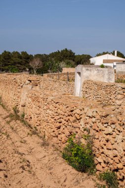 Terramoll şaraphanesi, La Mola, Formentera, Pitiusas Adaları, Balear Community, İspanya