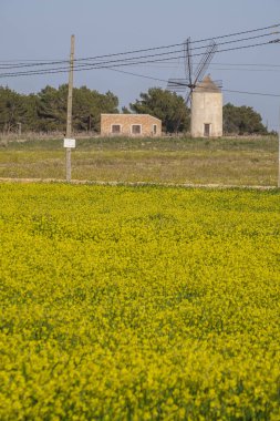 Formentera, Pitiusas Adaları, Balear Community, İspanya