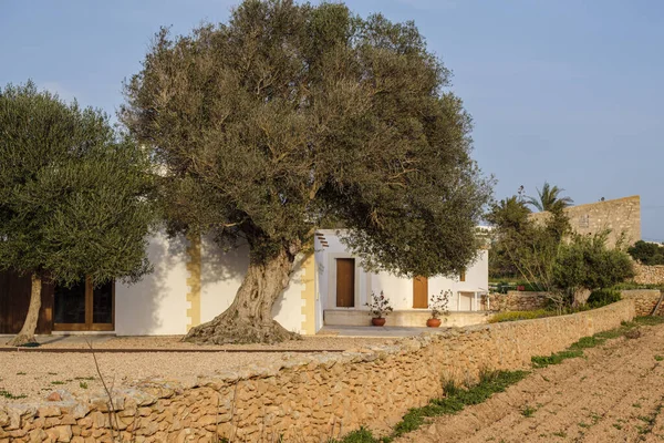 Tipikus Ház Formentera Pitiusas Szigetek Baleár Közösség Spanyolország — Stock Fotó