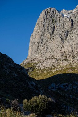 Pa de Figa de Son Torrella, El Paredon, 1256 metre, Son Torrella, Mallorca, Balear Adaları Puig Major, İspanya