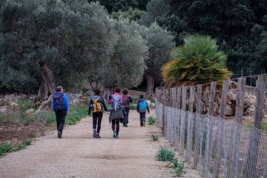 Mortix üzüm bağlarındaki yürüyüşçüler, Escorca, Mallorca, Balearic Adaları, İspanya