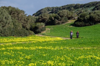 hiker walking the horse path, - Cami de Cavalls-,s'Albufera des Grau Natural Park, Menorca, Balearic Islands, Spain clipart