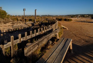 Estany des Peix yeşil yolu, Formentera, Pitiusas Adaları, Balear Community, İspanya