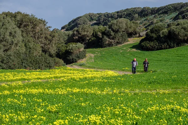 At yolunda yürüyen yürüyüşçü, Cami de Cavalls-, s 'Albufera des Grau Natural Park, Menorca, Balear Adaları, İspanya