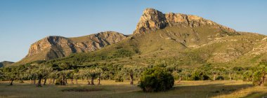 Llevant Yarımadası Doğal Parkı, Arta, Mallorca, Balearic Adaları, İspanya