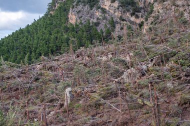 Kasırga, Banyalbufar, Mallorca, İspanya