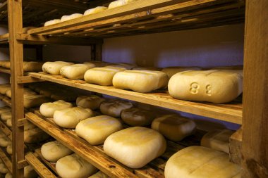 Mayorka, Balear Adaları, İspanya