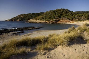 Mayorka, Balear Adaları, İspanya
