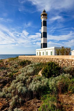 Mayorka, Balear Adaları, İspanya