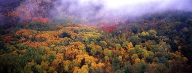 Mayorka, Balear Adaları, İspanya