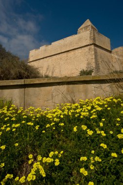 Mayorka, Balear Adaları, İspanya