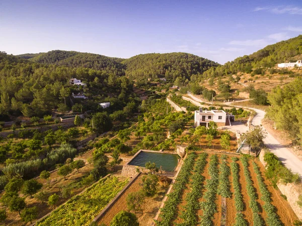 huertos en Broll de Buscastell, San Antonio de portmany, İbiza, Balear Adaları, İspanya