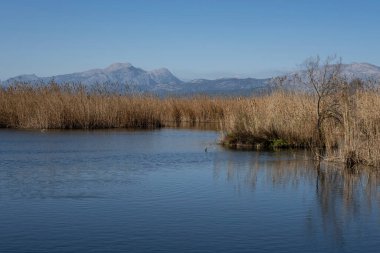 albufera de mallorca, Mallorca, Balearic Adaları, İspanya