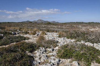 Punta de ses Penyes Altes, Manacor, Mallorca, Balearic Adaları, İspanya