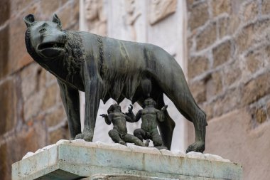 Roma mitolojisine göre Roma, Roma, Lazio ve İtalya 'nın kurucuları Romulus ve Remus' a hemşirelik yapan dişi kurt Luperca.