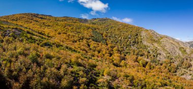 Tejera Negra, Sierra Norte de Guadalajara Doğal Parkı, Cantalojas, Guadalajara, İspanya