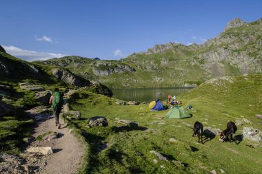 Bersau gölünde kamp, Ayous göl turu, Pireneler Ulusal Parkı, Pireneler Atlantikleri, Fransa