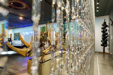 Swarovski kristalleri perdesi ve Sibirya yünlü gergedanlarının fosilleşmiş iskeleti (Coelodonta antiquitatis), Sa Bassa Blanca Müzesi (msbb