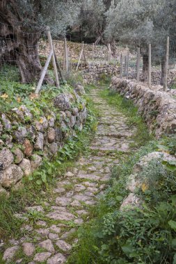 Cami de Rocafort, Doğal Park Sierra de Tramuntana. Mallorca. Balear Adaları. İspanya
