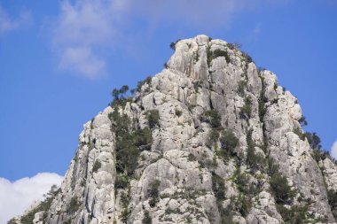 puig de ses Bruixes de 355 mts, sierra de Galdent, llucmajor, Mallorca, balear adaları, İspanya, Avrupa