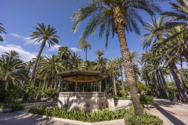 huerto de el Colomer, Palmeral de Elche, Patrimonio de la Humanidad por la Unesco, yoldaş Valenciana, İspanya