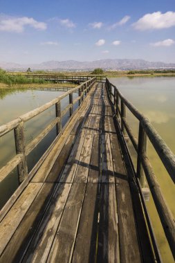 parque natural El Fondo, Elche, Alicante, İspanya, Avrupa