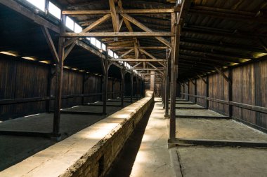 Kampo de concentracion de Auschwitz-Birkenau, müze arazisi, Oswiecim, Polonia, Doğu Avrupa