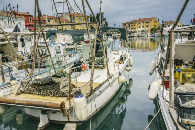 Puerto de Novigrad, Istria yarımadası, Croacia, Avrupa