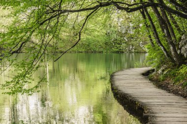 Parque Nacional de los Lagos de Plitvice, Patrimonio Mundial de la UNESCO, Croacia, europa