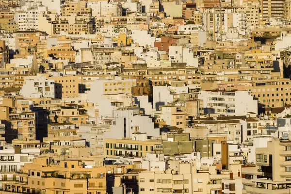 Palma de Mallorca, Mallorca, Balear Adaları, İspanya